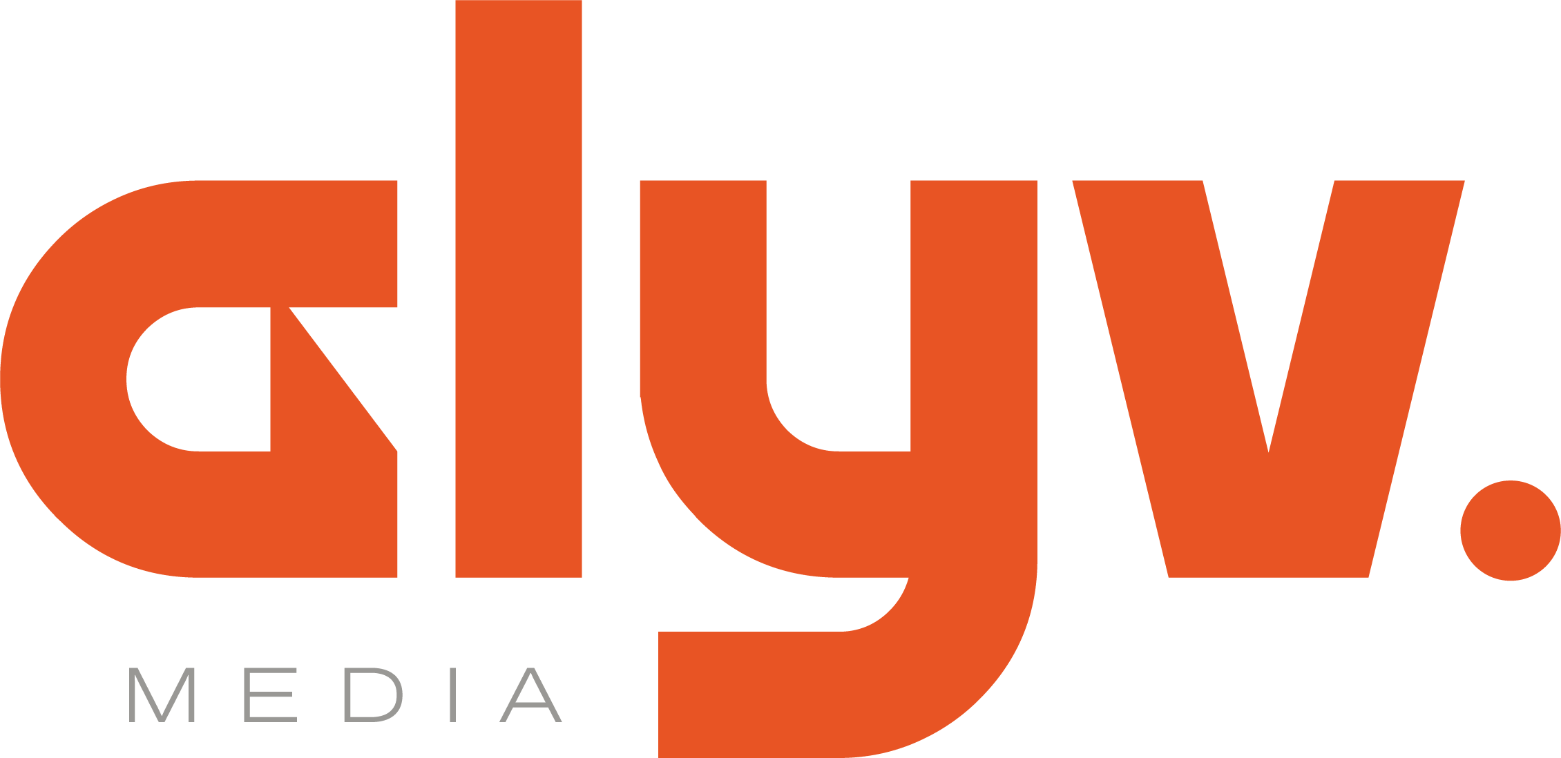 alyv logo